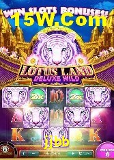 Casino Ao Vivo jjbb